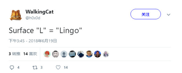 ΢¿ƽΪSurface Lingo