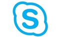 Microsoft Skype for Business Basic 32λ