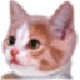 ҽԺϵͳ