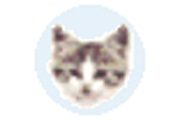 EF File Catalog