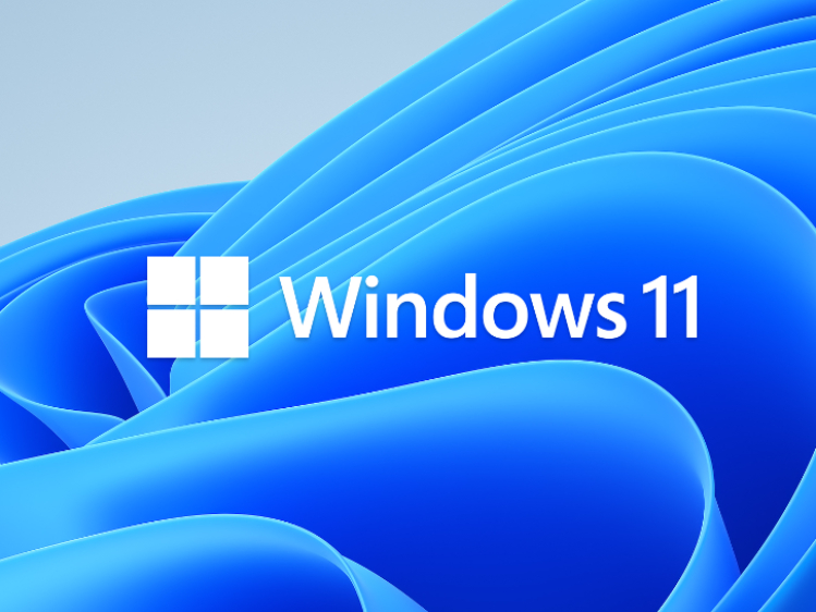 Windows 11