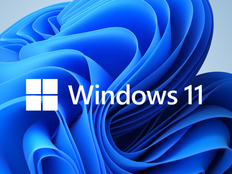 Windows 11