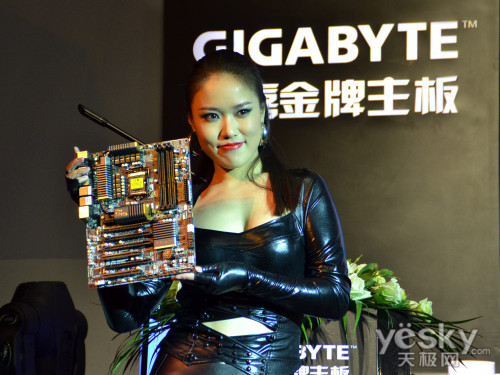 P67/H67巢