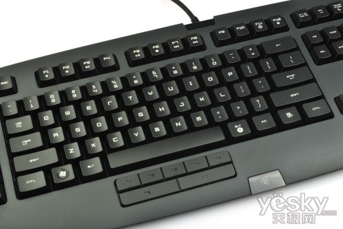 ȫ׿MMOϷ Razer Anansi