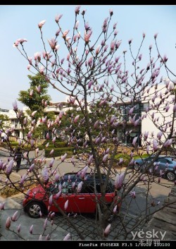 15Xȫͳ  ʿFinePix F505EXR