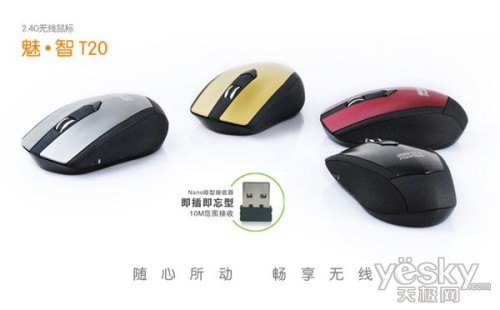 ʼǱô ʿ쳵Ƽ