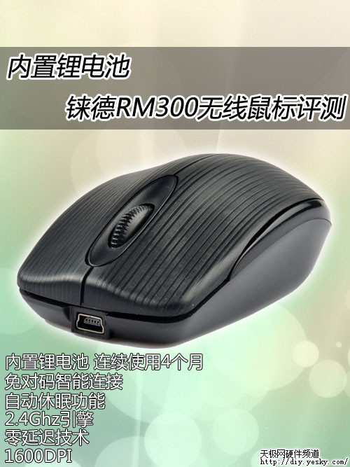 ﮵ 蝹RM300