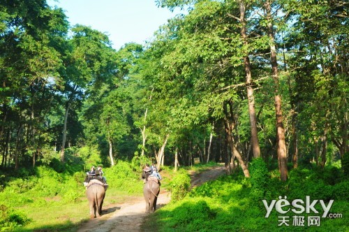 //cms.tianjimedia.com/uploadImages/2012/079/VD53XK4B060S_DSC_6628_500.JPG