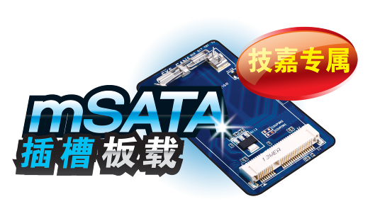 mSATA_Connector_Onboardch