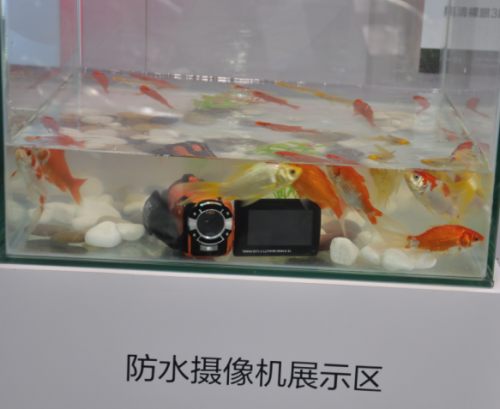 캽 CHINA P&EչΨһƷ