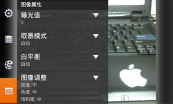 ThL V11