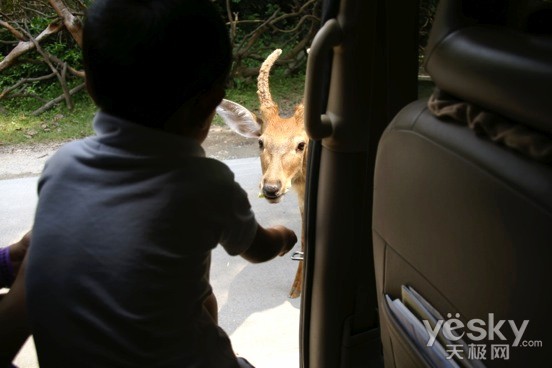 ˵: Macintosh HD:Users:lvdakun:Pictures:iPhoto ͼ:Masters:2012:08:29:20120829-112617:DSC01463.JPG