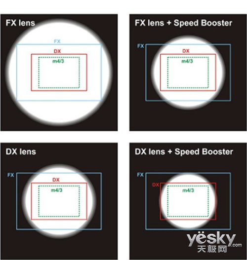 MetabonesƳתӻSpeed Booster