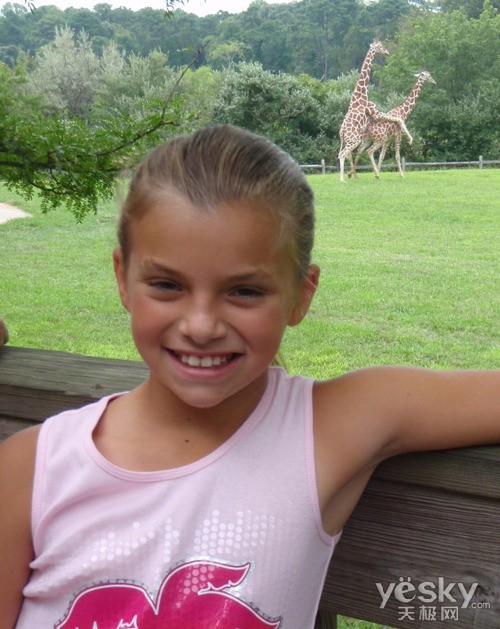 giraffe-photobomb-sex