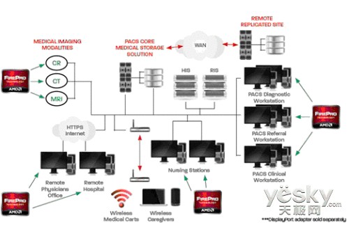 AMD FirePro W5000 DVIΪִҽӦõ