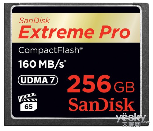 ȫ׷256GB CompactFlash洢