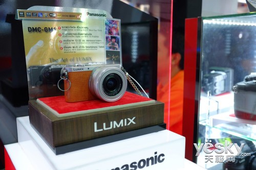 PF2013LUMIX GɻϤǳ