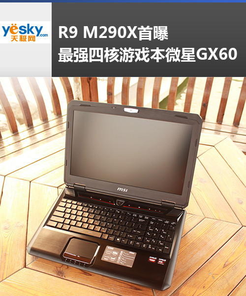 R9 M290X ǿĺϷ΢GX60