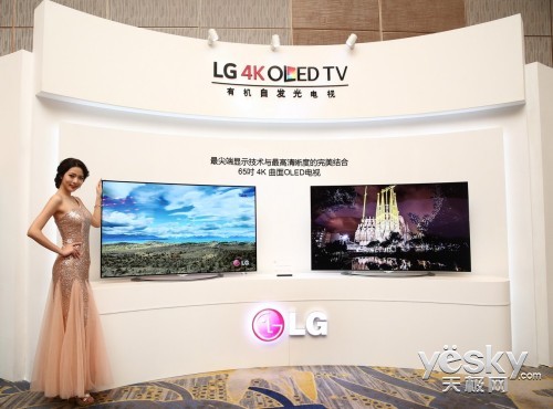 LGƻйձҵռOLED