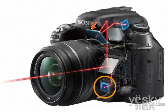 550_sony_fast_lv_af