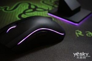 ֻ Razer¿۾