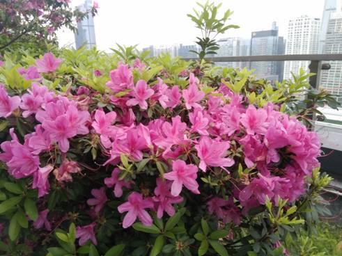 IMG20160419102103.jpg