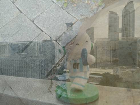 IMG20160421082232.jpg