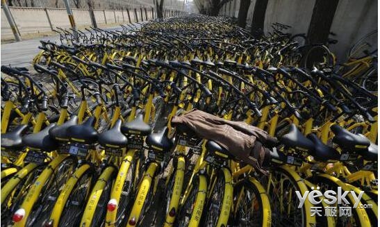 ofo Сӭڶ »