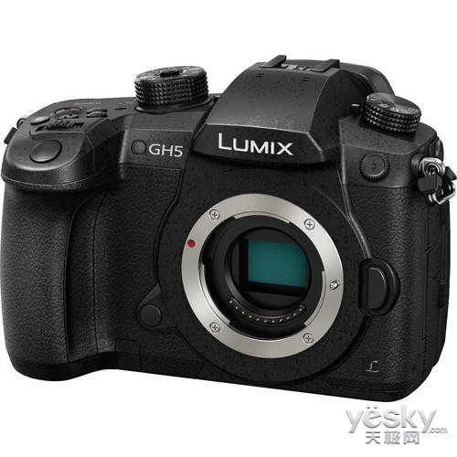 Ҳ:Lumix GH5s·