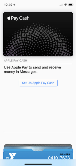 Apple Pay Cashת˷