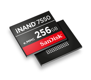 iNAND%207550%20256GB