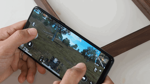 02.gif