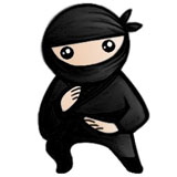 System Ninjav3.2.6.1ٷʽ