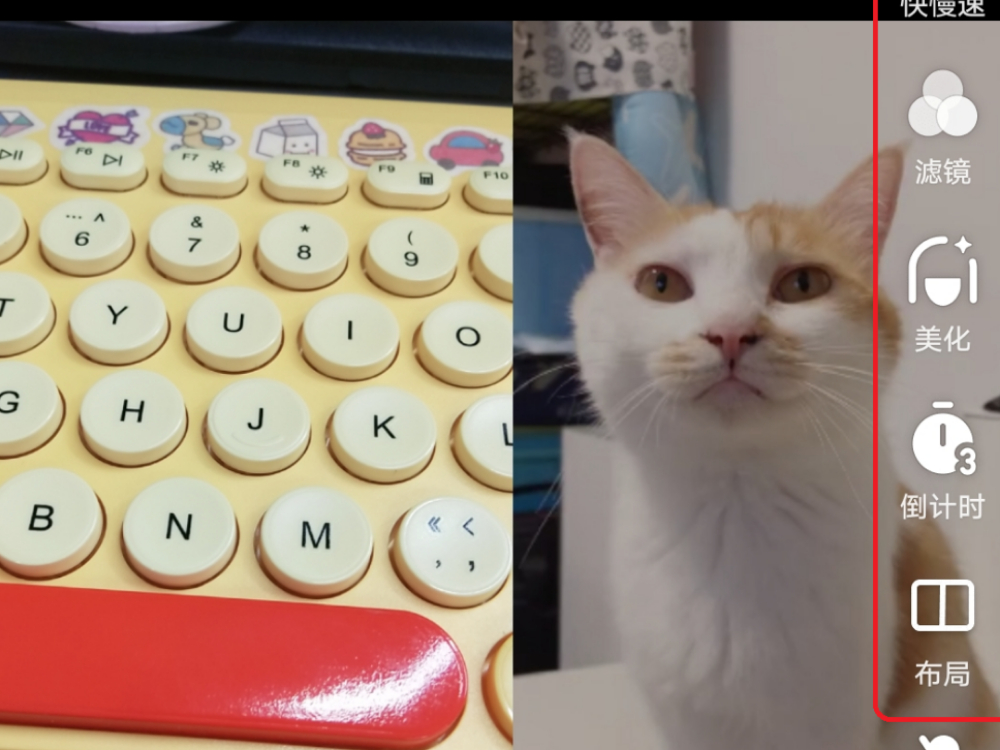 ôͱһƵѧճƵӵĺȤ