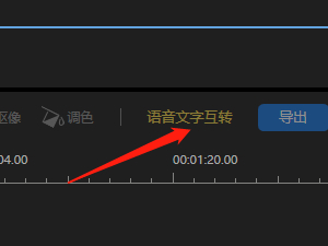 Ƶ༭VipЩܣvipЩû