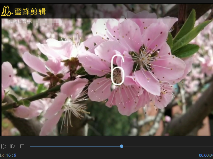 3ʹPC۷ƵͼƬļ