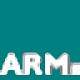 ARM Developer Suite