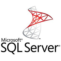 SQL2000vİٷʽ