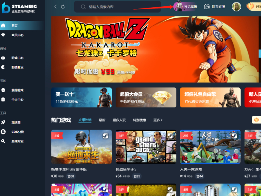 SteambigͶ_дͶߵʲô