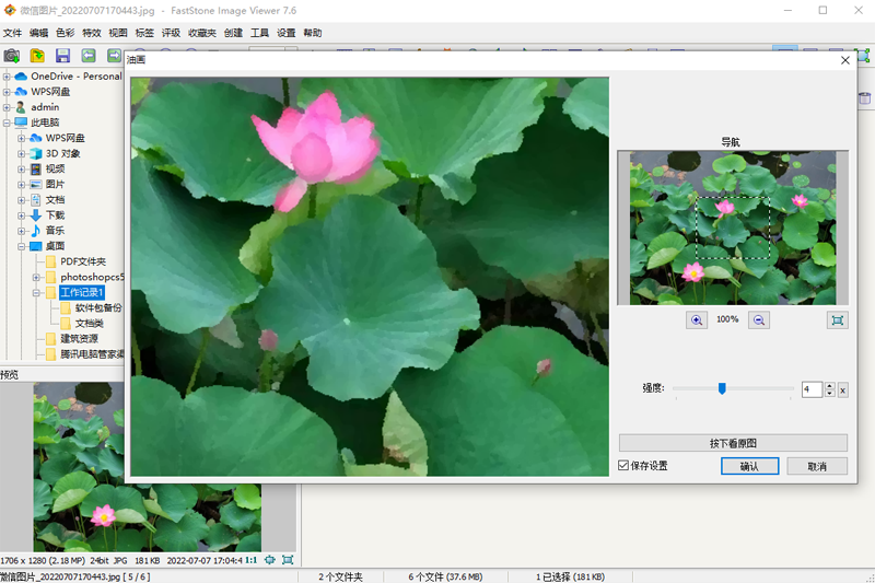 FastStone Image Viewer°ͼ2