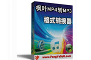 枫叶MP4转MP3格式转换器