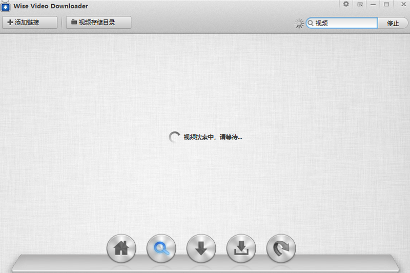 Wise Video Downloaderͼ3