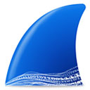 Wireshark°v4.4.6ٷʽ