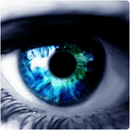 Alternate Pic Viewv3.460ٷʽ