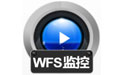 WFSػָ