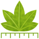 Digimizerv6.3.0ٷʽ