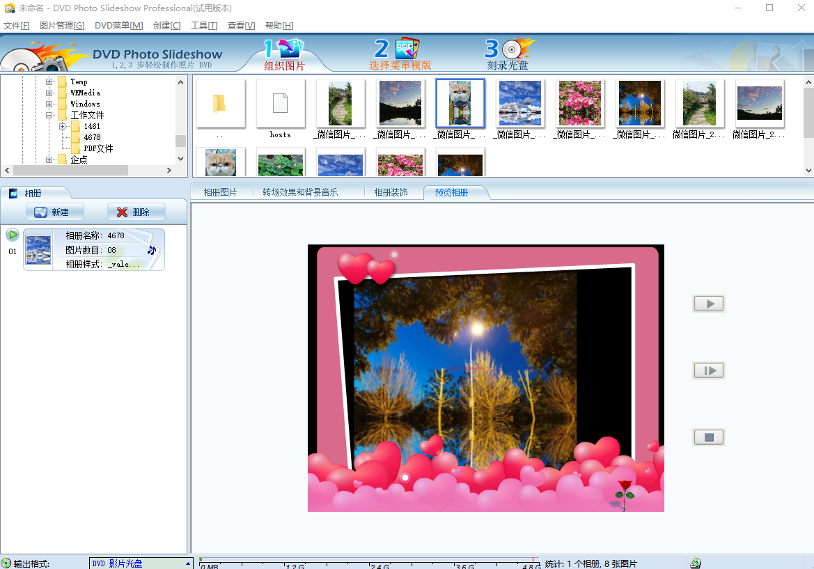 DVD Photo Slideshow Professional԰ͼ3