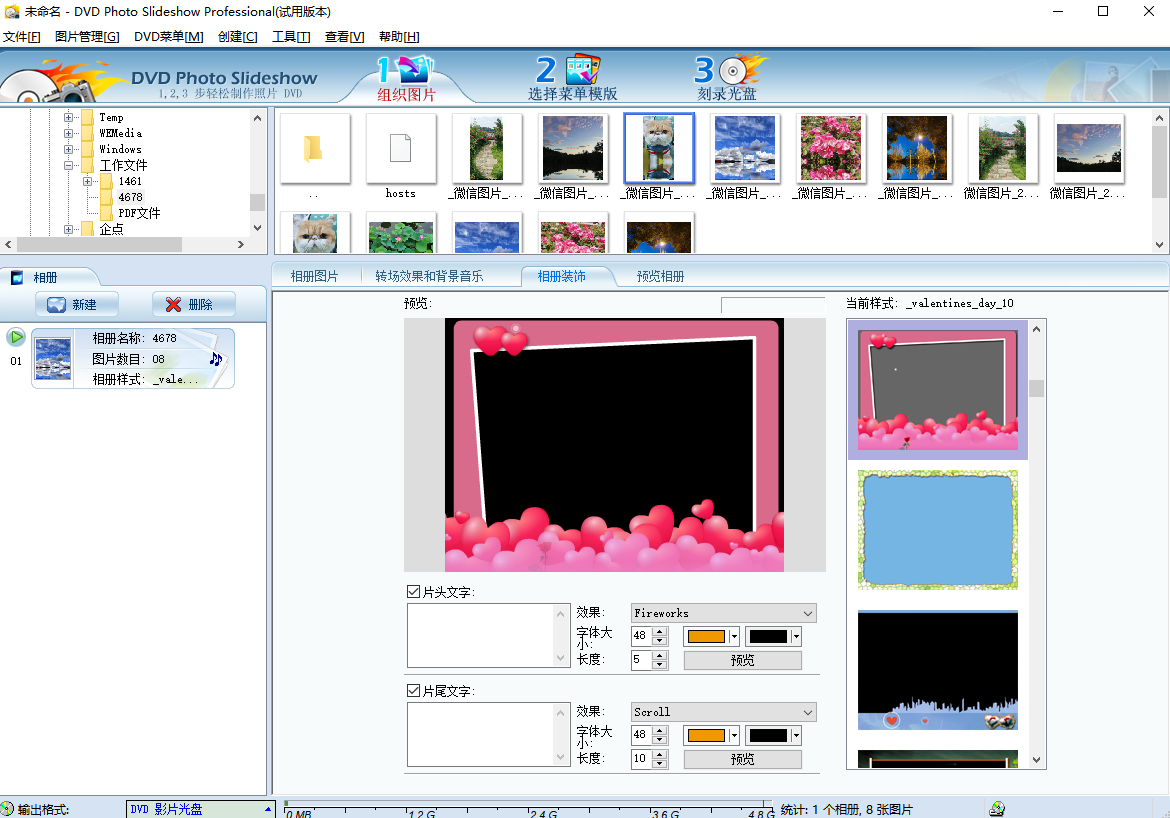 DVD Photo Slideshow Professional԰ͼ2