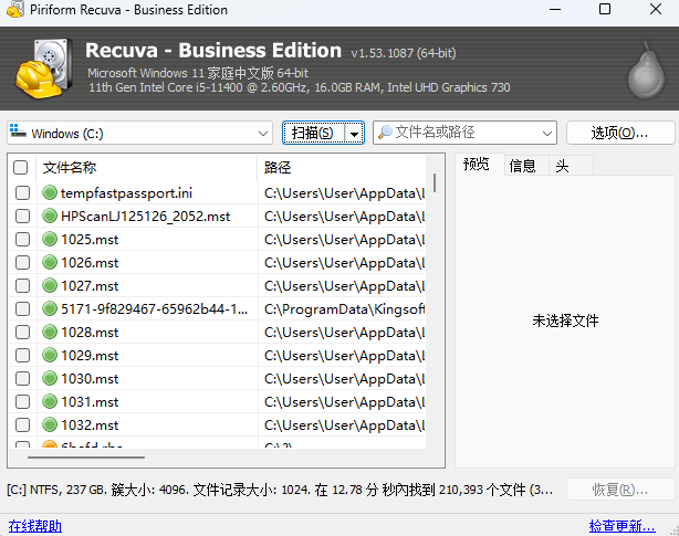 Recuva Business Editionͼ3