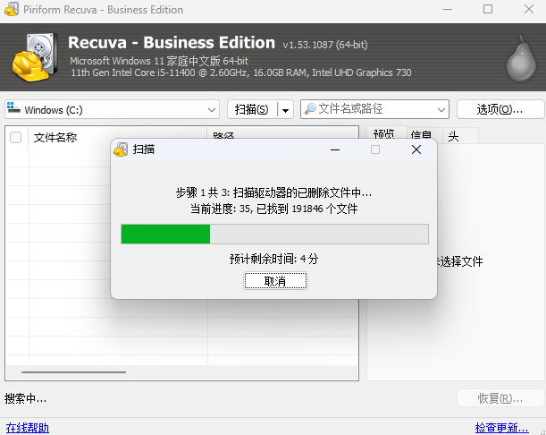 Recuva Business Editionͼ2
